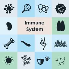 Immune System Diseases