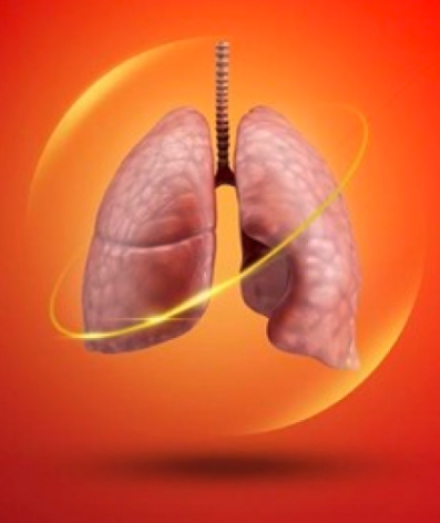 How does DCP protect lungs from PM 2.5 particles